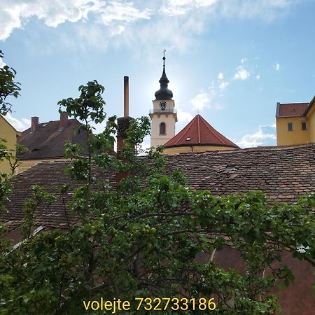 Apartman Horni Hermanuv Mestec U Chrudimi Экстерьер фото
