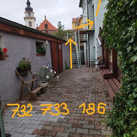 Apartman Horni Hermanuv Mestec U Chrudimi Экстерьер фото
