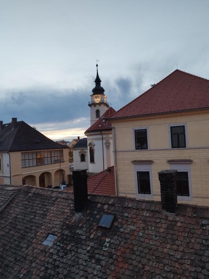 Apartman Horni Hermanuv Mestec U Chrudimi Экстерьер фото